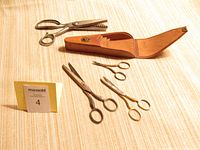 All scissors and pinking shears displayed with the leather case on a fabric surface showing size and quantity of items.