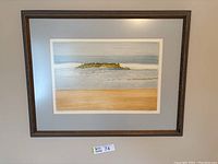 Frontal photo of the framed limited edition print showing the entire artwork clearly, including the matte border and frame.