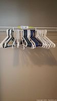 Batch of assorted plastic clothes hangers on a clothes rod, seen straight on.