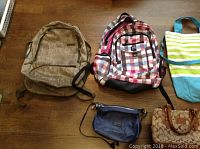 Overview of all bags laid on floor showing variety, colors, and condition.