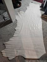 Full view of the half hide of light-colored Italian leather spread on the floor, showing the size and shape of the hide.