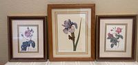 Three framed botanical prints displayed side by side: violet flower print in a wood frame on the left, iris botanical print with butterfly in a larger wood frame in the center, and a rose print in an ornate gold frame on the right.