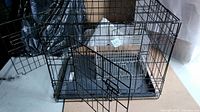 Black metal wire animal cage with door open, plastic tray visible