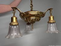 Overall front view of chandelier showing three arms, pan canopy and glass shades