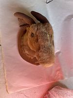 Front angle view of plush moose head bust showing face, antlers and wooden plaque base.