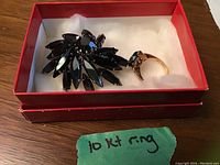 Photo of 10 karat gold ring and black gemstone brooch in red box with white cushion, showing ring band and brooch cluster