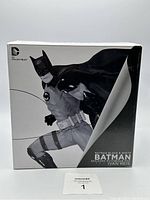 Front view of box with Batman Black & White statue image and branding