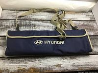 Blue Hyundai branded BBQ set carrying case with strap, closed