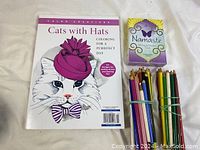 Photo showing the 'Cats with Hats' coloring book, face of a white cat wearing a hat, a set of colored pencils grouped with rubber bands, and the Namaste cards box.