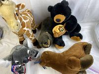 Group photo of six wild animal plush toys on white cloth background showing giraffe, black bear, wombat, platypus, and koalas.