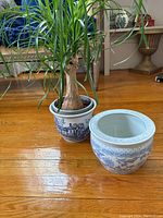 Two blue and white Chinese ceramic planters on a wood floor. One planter has a plant with a thick trunk and long green leaves, the other is empty showing the inside and rim detail.