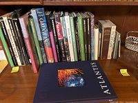Shelf of hardcover and paperback art books featuring titles on artists Matisse, Gauguin, Modigliani, Van Gogh and museum books about Prado, Uffizi, Vatican Museums.