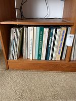 Wooden shelf holding spines of approximately 18 LP records