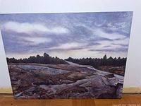 Front view of original acrylic landscape painting showing detailed rocky foreground, tree line, and cloudy sky.