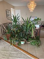Group shot of multiple planters with live plants staged near railing