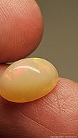 Close-up image of the oval cabochon Ethiopian opal held on a fingertip showing smooth polished surface and bright, colorful flashes inside the stone, highlighting its excellent quality.