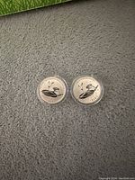Obverse side of two silver coins showing the common loon design and year 2016.