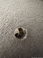 Front side of the 2013 Canadian $20 silver coin showing a bear, inscriptions, and denomination.