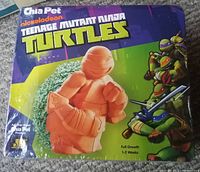 Front view of the Teenage Mutant Ninja Turtles Chia Pet box showing the ceramic turtle planter with green chia seeds growing on its back, branded with Nickelodeon and TMNT logos.