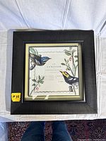 Full view of square framed bird print with black frame, showing both birds and botanical design.