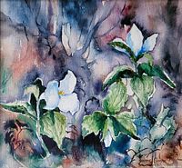 Close-up of the watercolour painting showing white trilliums with green leaves and a multicoloured background, signed lower right.