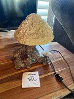 Overall front view of coral mushroom lamp on wooden surface, showing base, shade, and power cord