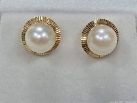 Front view of pair of Akoya pearl earrings set in gold