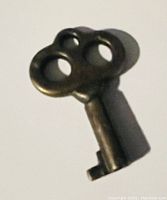 Close-up photo of a dark metal skeleton key with a double oval-shaped bow and rectangular bit.