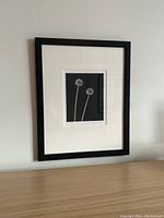 Framed black and white photograph print of two dandelions on black background, signed by Steven Crainford, hanging on a white wall.