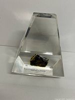 Clear acrylic trapezoidal block containing fossilized wood specimen with label visible inside base