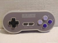 Front view of the 8BitDo gray and purple gamepad showing the D-pad, action buttons, and select/start buttons.