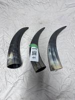 Three natural cow horn sheaths photographed on a cloth background, showing curved shape and color gradient.