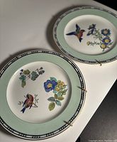 Two Wedgwood ceramic plates with pale green borders featuring bird and floral designs displayed on white surface.