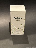 White textured box labeled 'Cabotine de Grès Eau de Parfum' 100 ml 3.4 fl oz with embossed floral pattern and small green and yellow flowers.