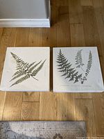 Two square canvas art pieces placed on wooden floor showing botanical fern prints with species name text.
