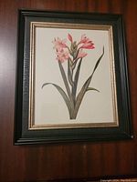 Framed botanical flower print hanging on wall, showing full frame and artwork.