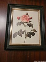 Front view of framed botanical print featuring a pink rose and green leaves in a dark wood frame with gold trim