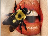 Close-up fashion/artistic photo of bright lipstick lips with a large bumblebee resting on them, possibly an image inside one of the books.