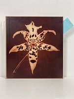 Front of slipcase showing a detailed close-up photo of a spotted flower against a dark background.