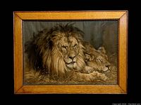 Front view of framed print showing two lions lying together in a natural pose, detailed texture visible in lion's mane and fur, wooden frame with gilt inner surround.