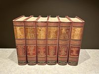 Six hardcover volumes of the medical series Therapeusis of Internal Diseases with reddish-brown spines, gold text, and the Appleton publisher name visible.