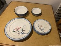 Full set of 16 dishes laid out on table showing bowls, medium plates, and large plates.