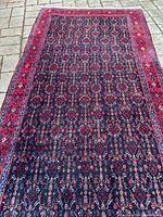 Full top-down view of rug showing overall pattern and border