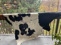 Full view of black and white cowhide rug hung over railing, showing natural shape and pattern.