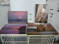 All four canvas prints arranged showing full lot