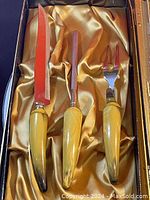 Turkey carving set in satin-lined box showing knife, sharpening rod, and carving fork with yellowish horn-style handles.