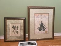 Two framed botanical leaf prints side by side on the floor against a green wall. The larger print is of a fern leaf, the smaller is of broad leaves with berries.