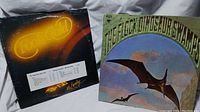 Image showing the front covers of both vinyl records: Mr. Lucky Fool's Gold with a gold-themed cover and The Flock Dinosaur Swamps featuring flying dinosaurs artwork.