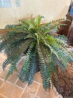 Side view of artificial fern showing the full spread of green fronds and brown plastic base.