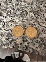 Pair of 2008 Canadian $1 coins showing the common loon design.